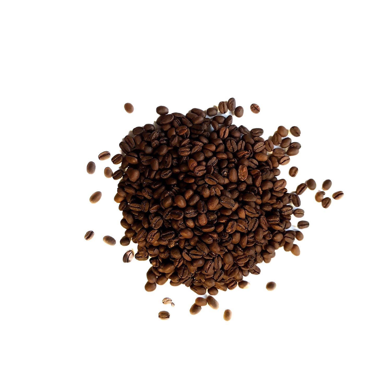 Ethiopian Sidamo Gr. 2 Medium Dark Roasted Beans or Ground / መካከለኛ-ጨለማ የተቆላ